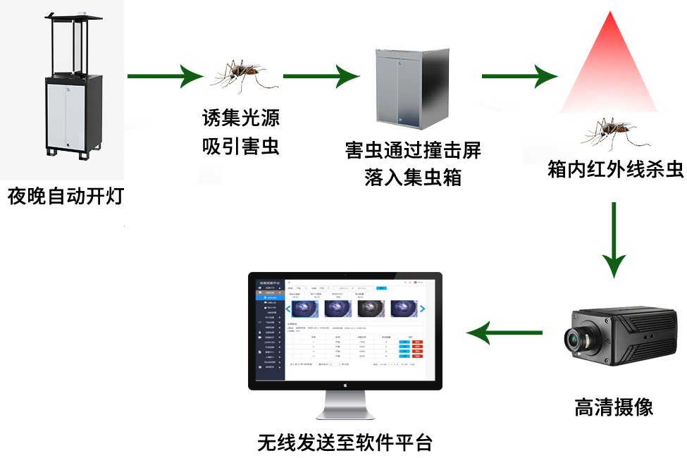 太陽能蟲情測報(bào)燈 太陽能蟲情測報(bào)燈